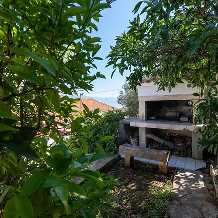 Seaside House Cove Zarace - Gdinj, Hvar - 2048 Dom wakacyjny *
